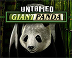 Untamed - Giant Panda